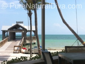 Key West Images:  A Romantic Getaway to the Reach Hotel Image